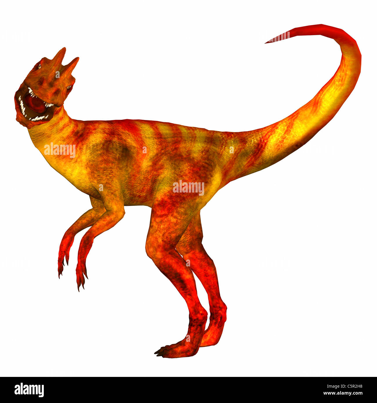 Illustration d'un dinosaure (Dilophosaurus) isolé sur fond blanc Banque D'Images