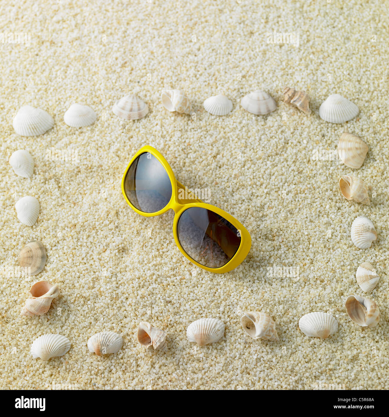 Lunettes de coquilles Banque D'Images