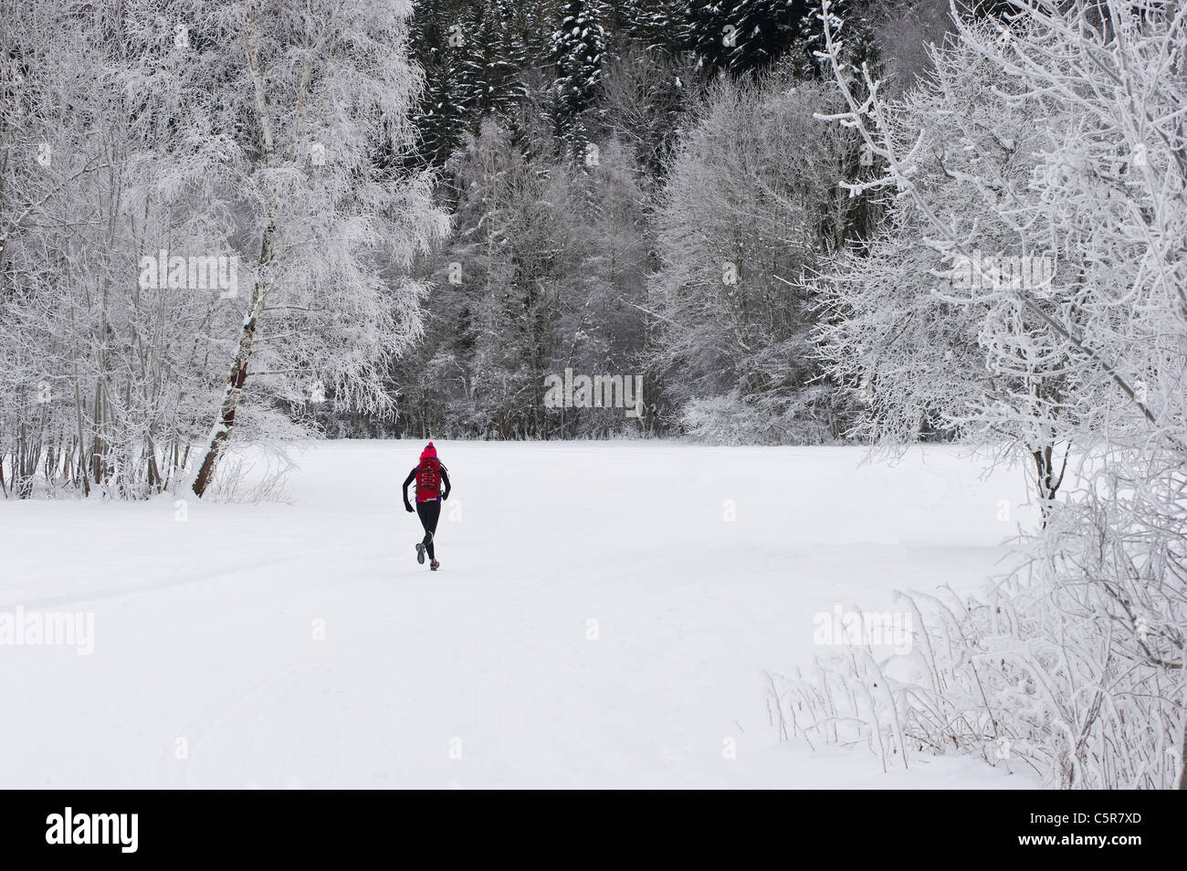 Un jogger qui traverse un paysage d'hiver enneigé. Banque D'Images