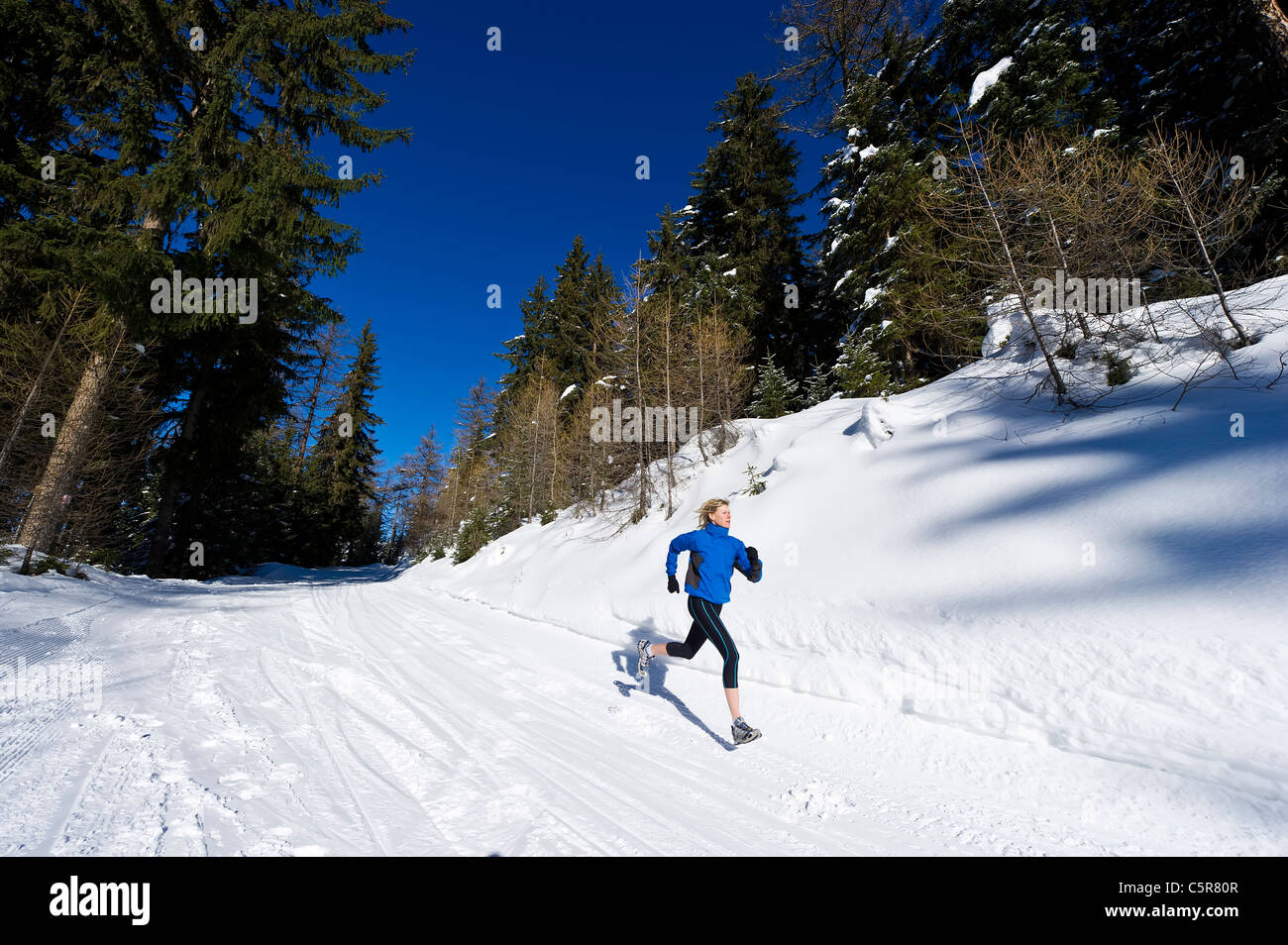 Un jogger traverse une forêt alpine. Banque D'Images