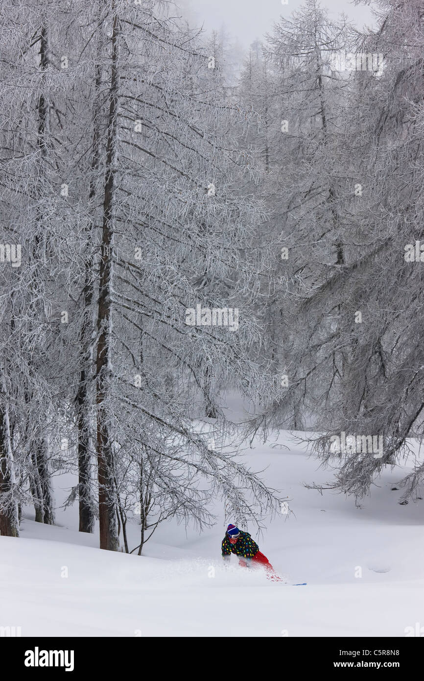 Un snowboarder riding thows rapide à travers une forêt d'une plume de la neige de la commission. Banque D'Images
