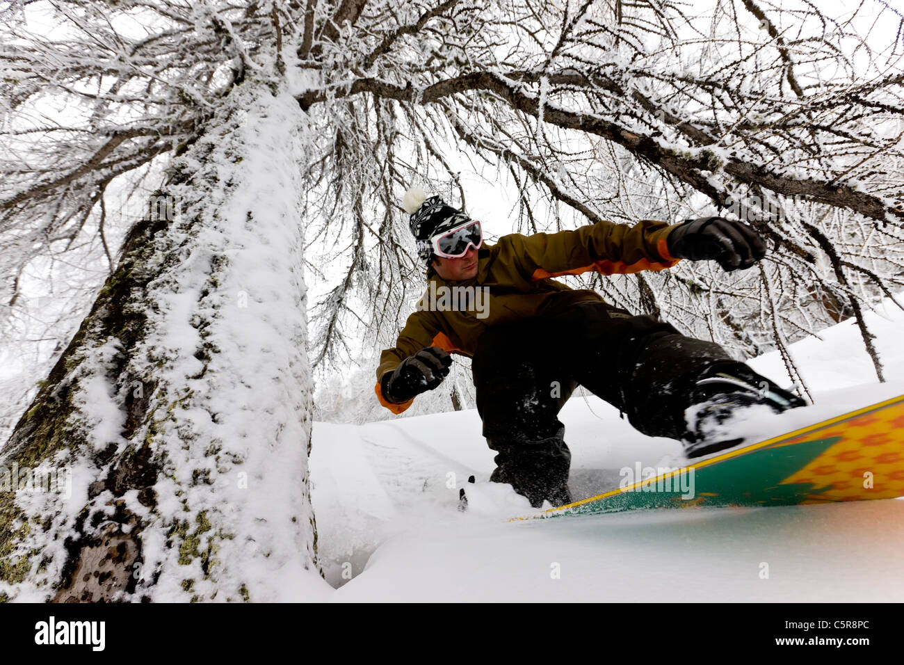 Snowboarder riding fresh powder par une forêt enneigée. Banque D'Images