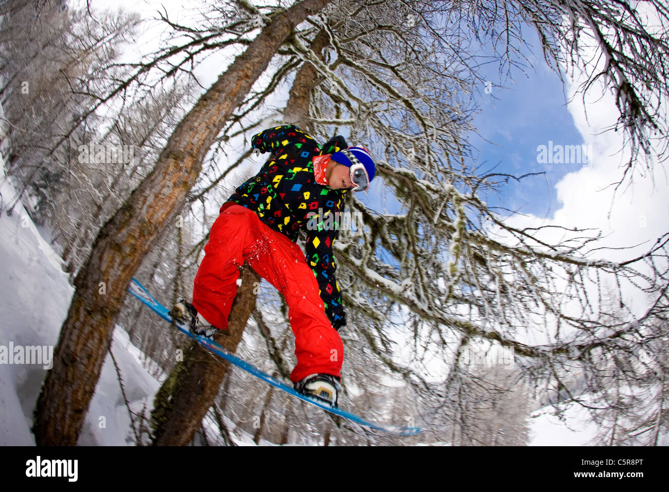 Un snowboarder équitation à travers une forêt enneigée saute à travers deux arbres. Banque D'Images