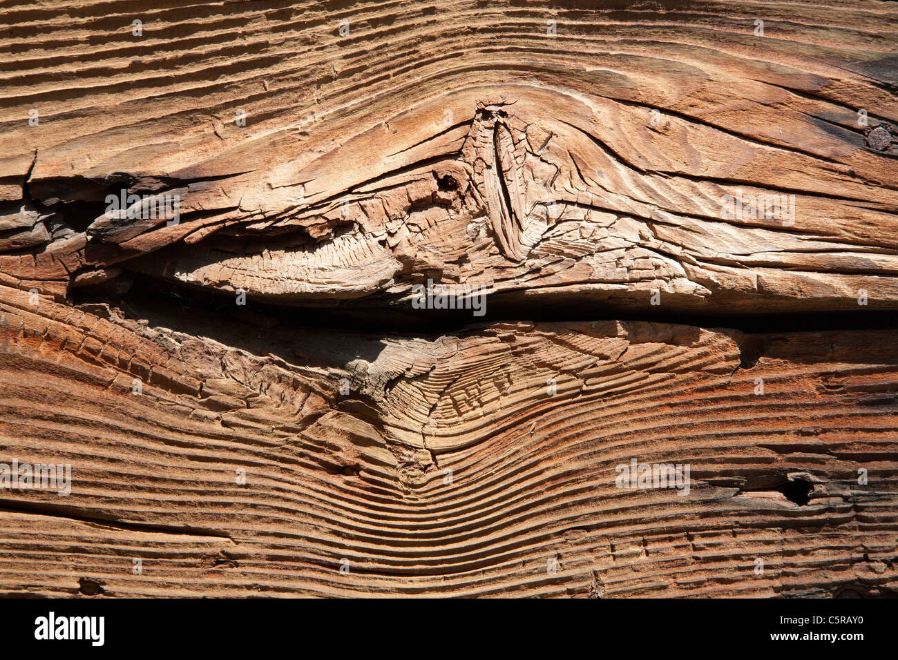 Détails de l'ancienne porte Banque D'Images