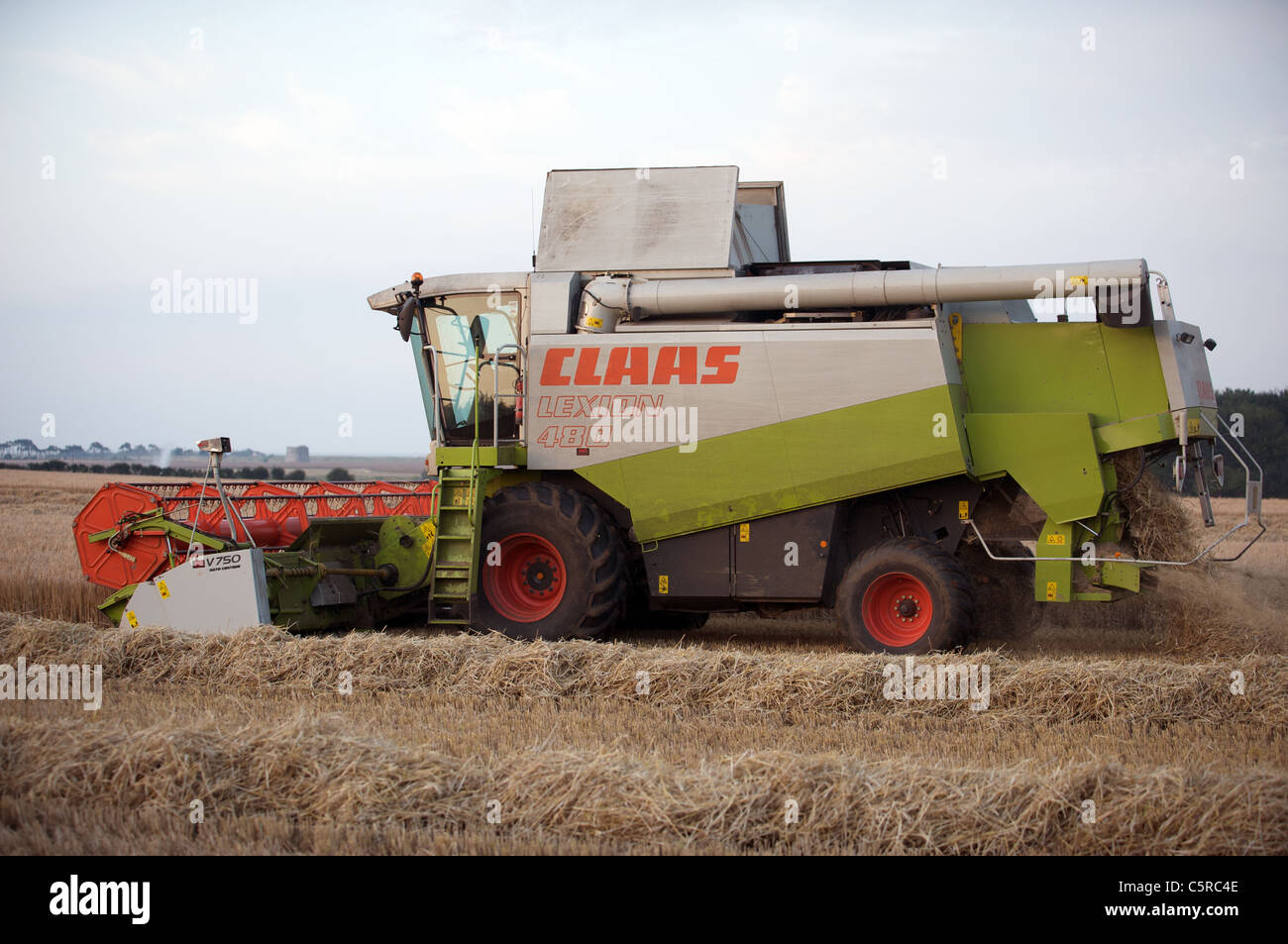 Rendmt Lexion moissonneuse-batteuse de classe 480 Banque D'Images