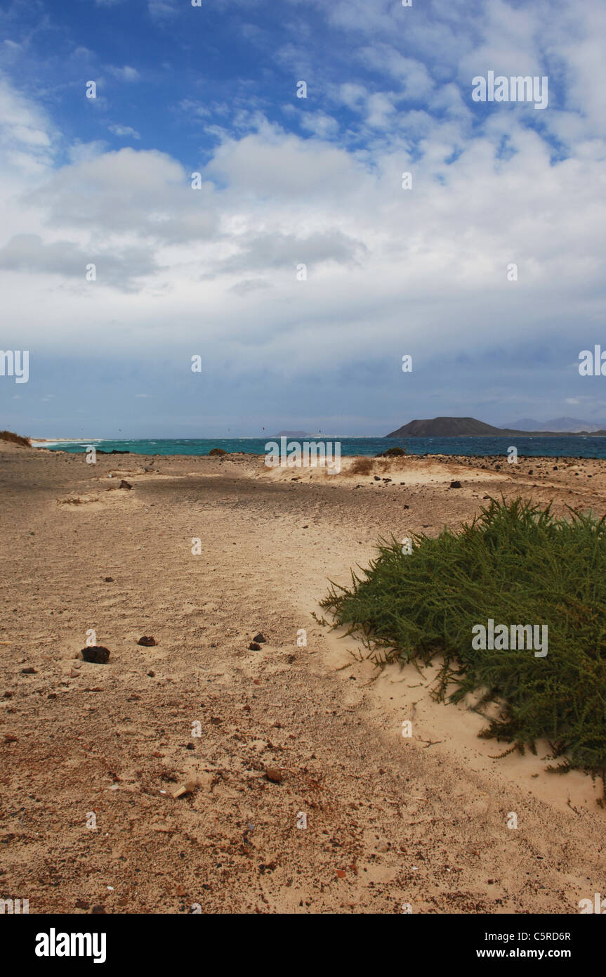 Espagne, Ténérife, Plage, Isla de Lobos en arrière-plan Banque D'Images