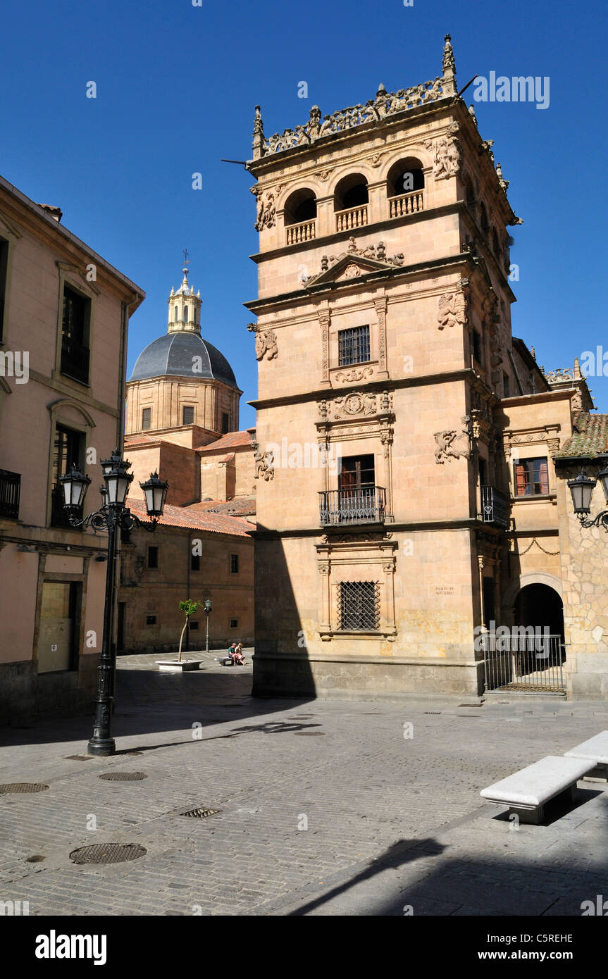 L'Europe, Espagne, Castille et Léon, Salamanque, vue du Palacio de Monterrey Banque D'Images