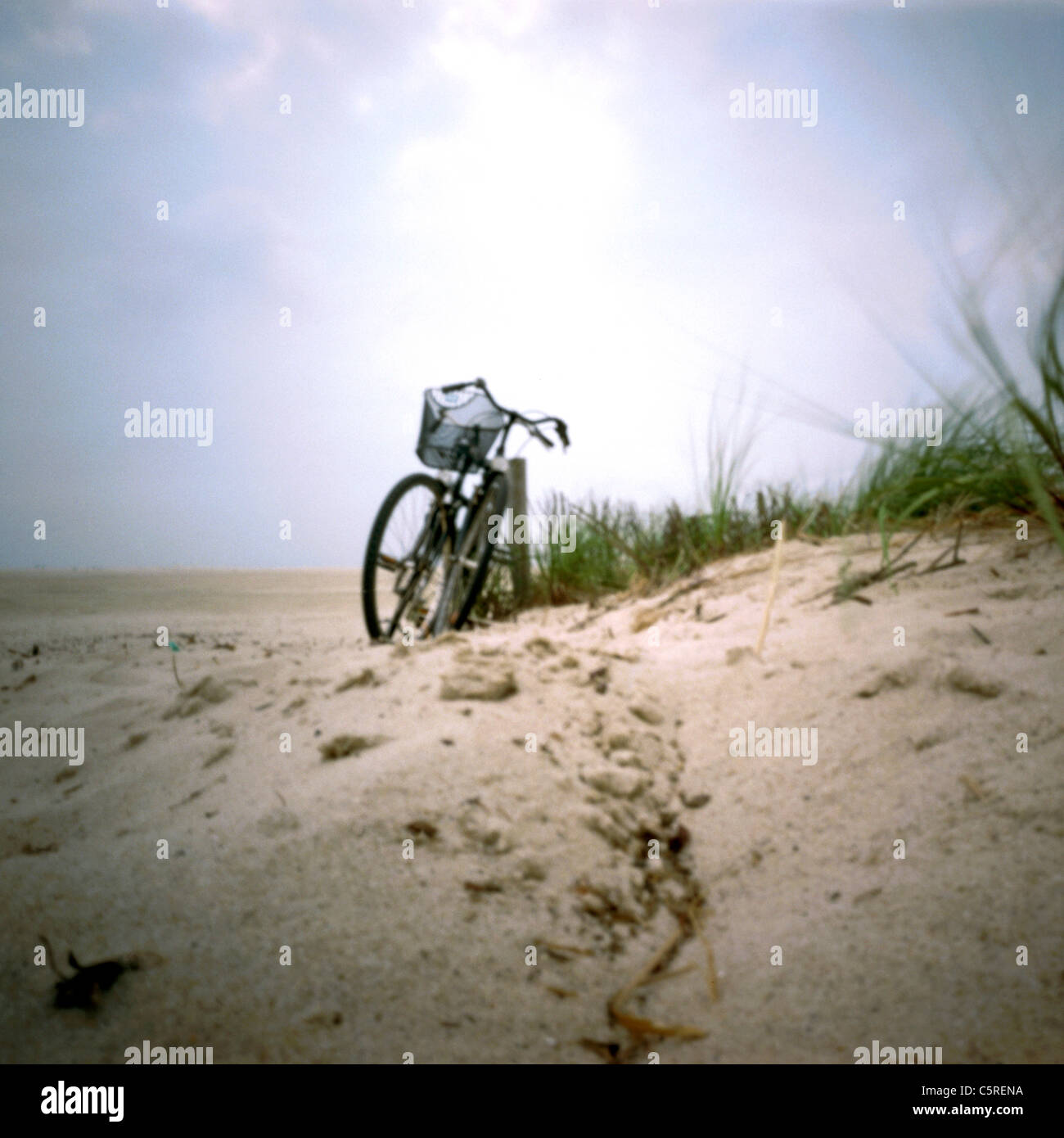 Allemagne, Mer du Nord, Amrum, vélos sur une dune Banque D'Images
