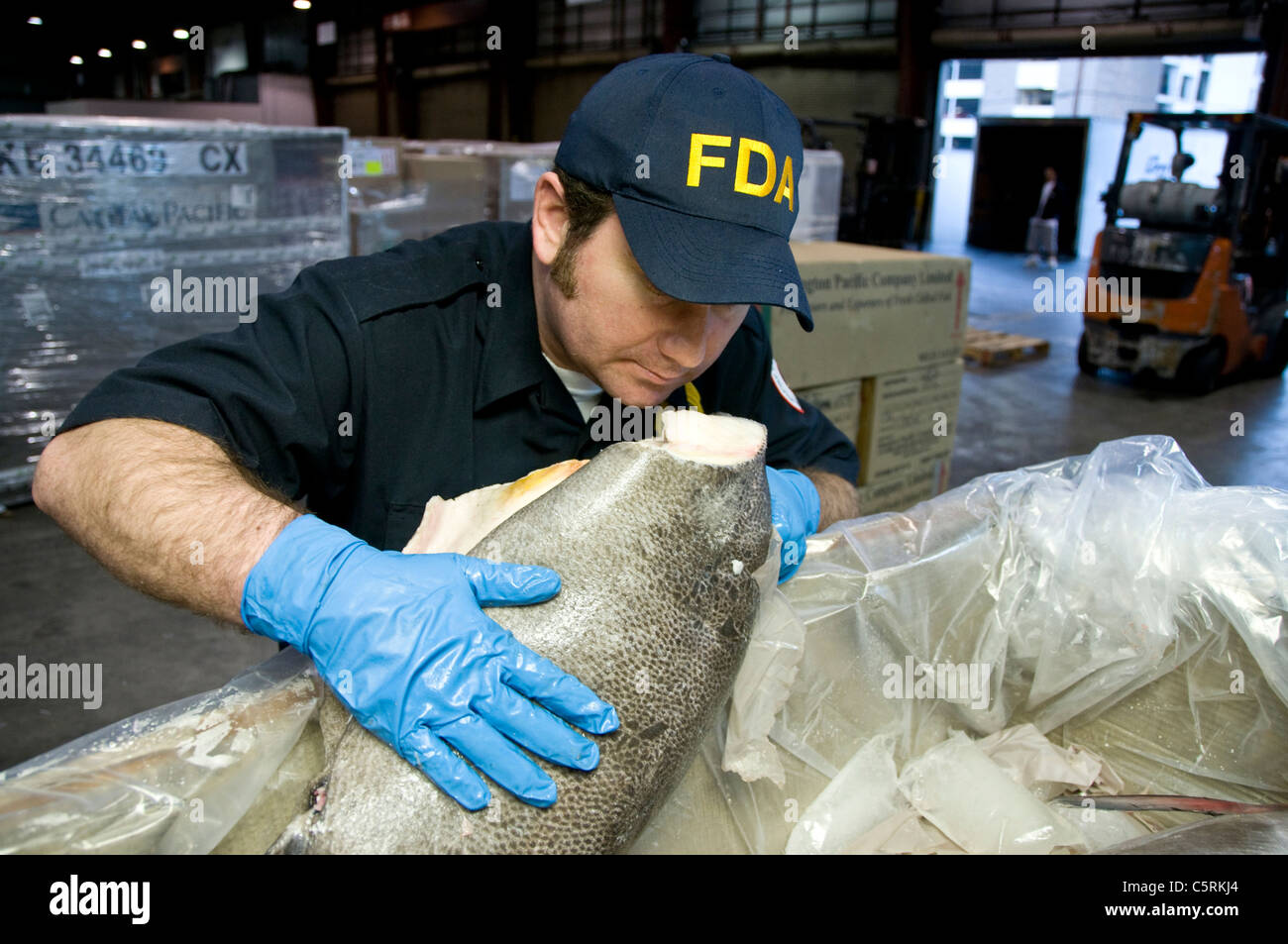 FDA inspecteurs vérifier les expéditions de fruits de mer importés à l'Aéroport International de Los Angeles. Banque D'Images