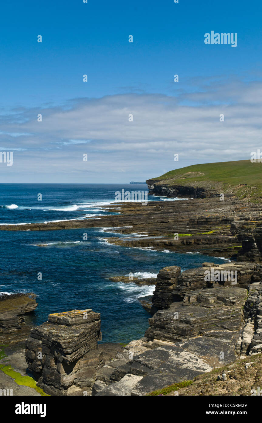 dh ROUSAY ORKNEY Rousay côte nord falaises de mer et piles de mer falaise d'écosse de seacliff Banque D'Images