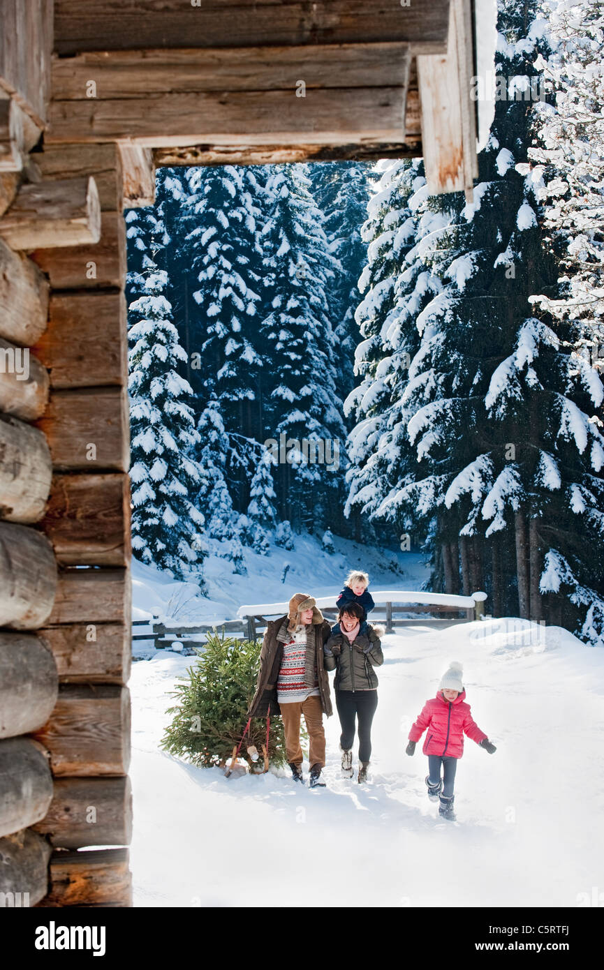 L'Autriche, Pays de Salzbourg, Flachau, vue de l'exécution de la famille arbre de Noël et la neige en traîneau Banque D'Images