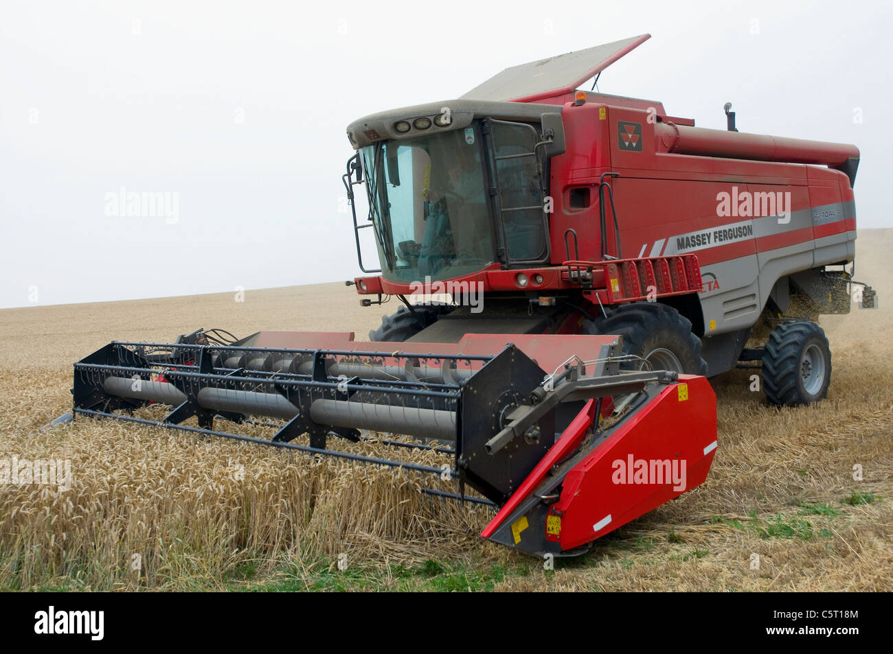 Moissonneuse-batteuse rouge travaillant au cours de la récolte de blé Banque D'Images