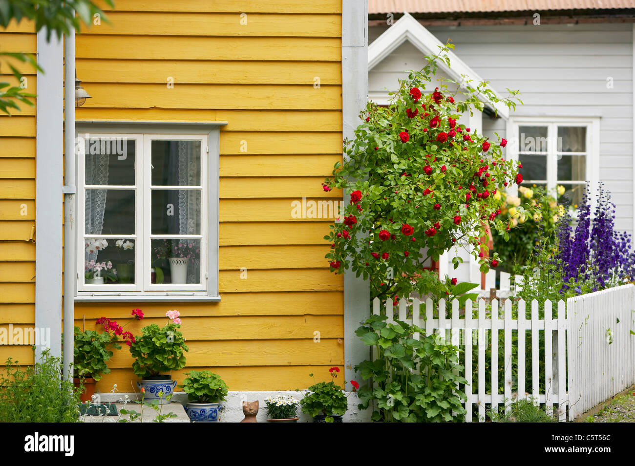 La Norvège, l'Laerdasory, maisons en bois avec des fleurs Banque D'Images
