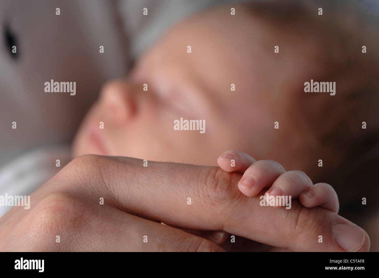 Germany, Bavaria, Munich, Baby Boy (3 semaines) holding hand, Close up Banque D'Images