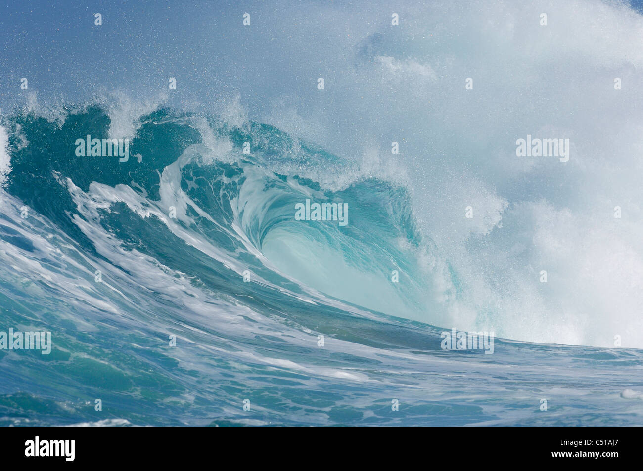 USA, Hawaii, Oahu, Big Wave, close-up Banque D'Images