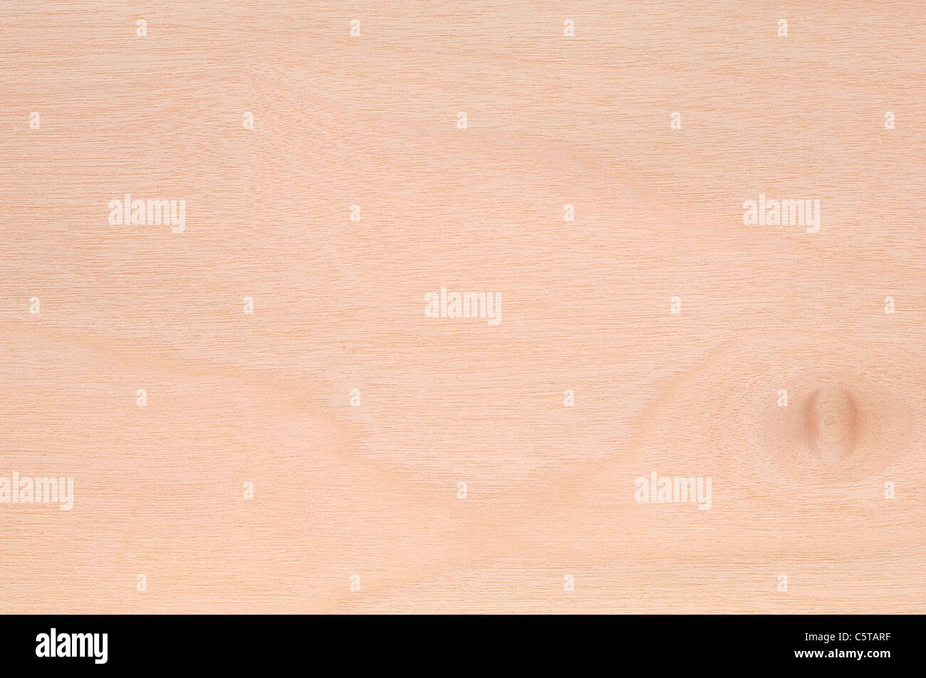 La surface de bois, bois de bouleau (Betula spp.) full frame Banque D'Images