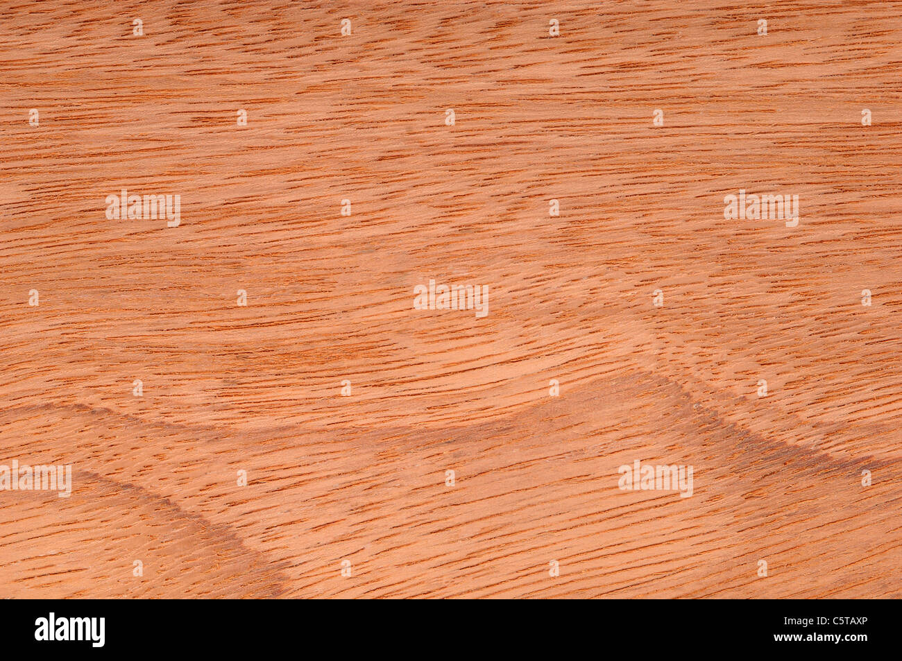 La surface de bois, bois Afzelia Afzelia (afriacana) full frame Banque D'Images