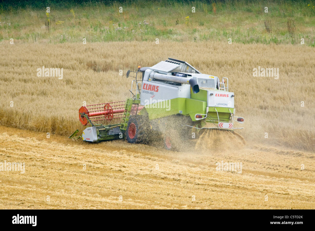 Rendmt Lexion moissonneuse-batteuse Claas 430 travaillant dans le champ de blé Banque D'Images