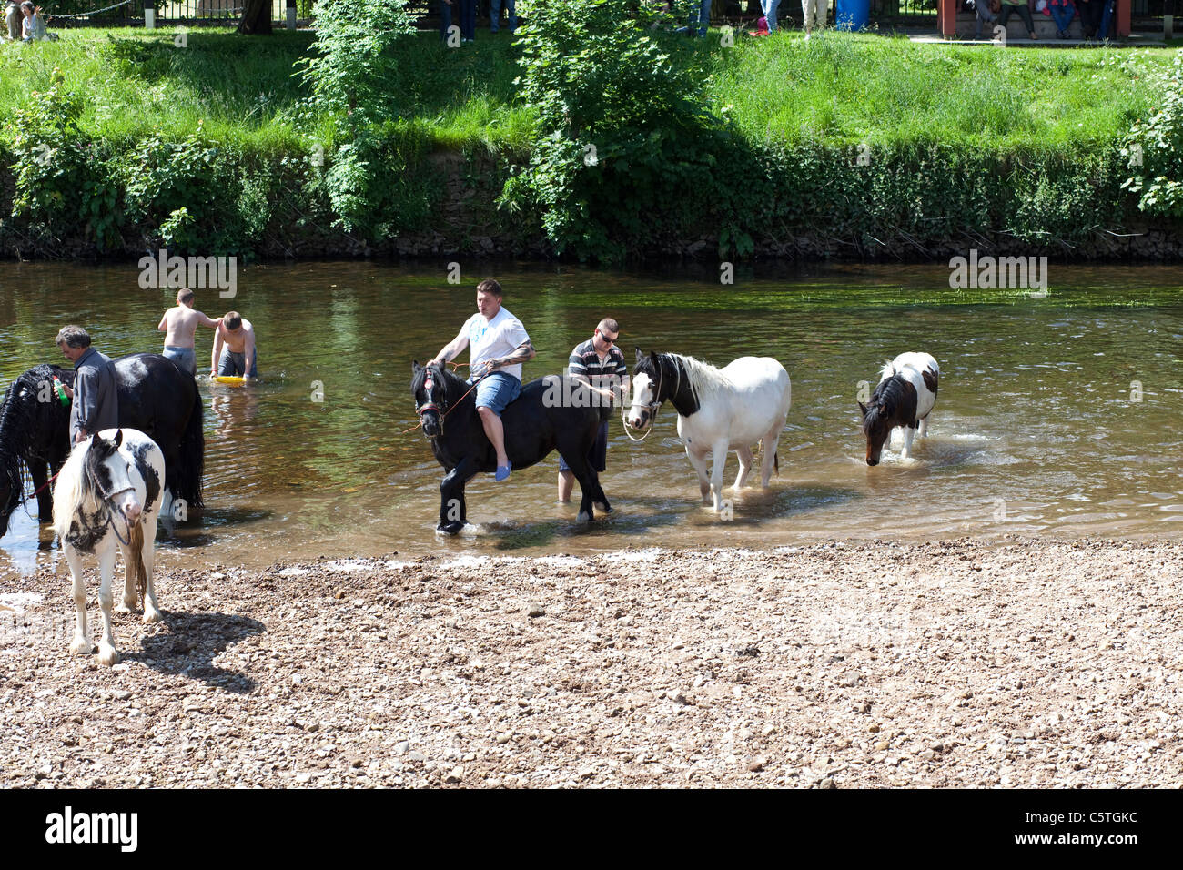 Les Tsiganes lave-chevaux dans la rivière Eden à Appleby Horse Fair, Appleby dans Westmoreland. Banque D'Images