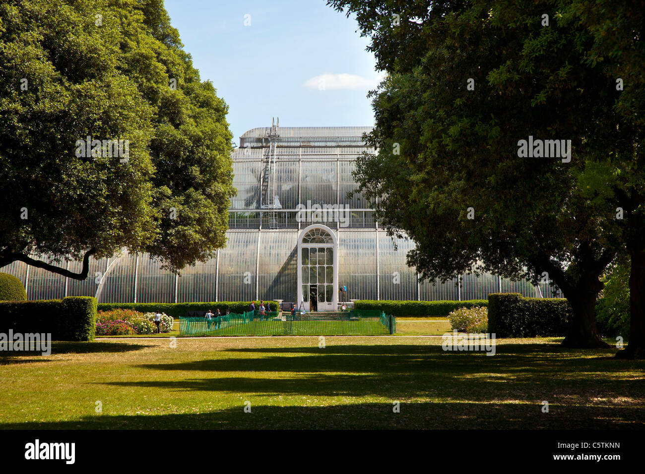 La Palm House, Jardins botaniques royaux de Kew, Richmond, Surrey, Londres Banque D'Images