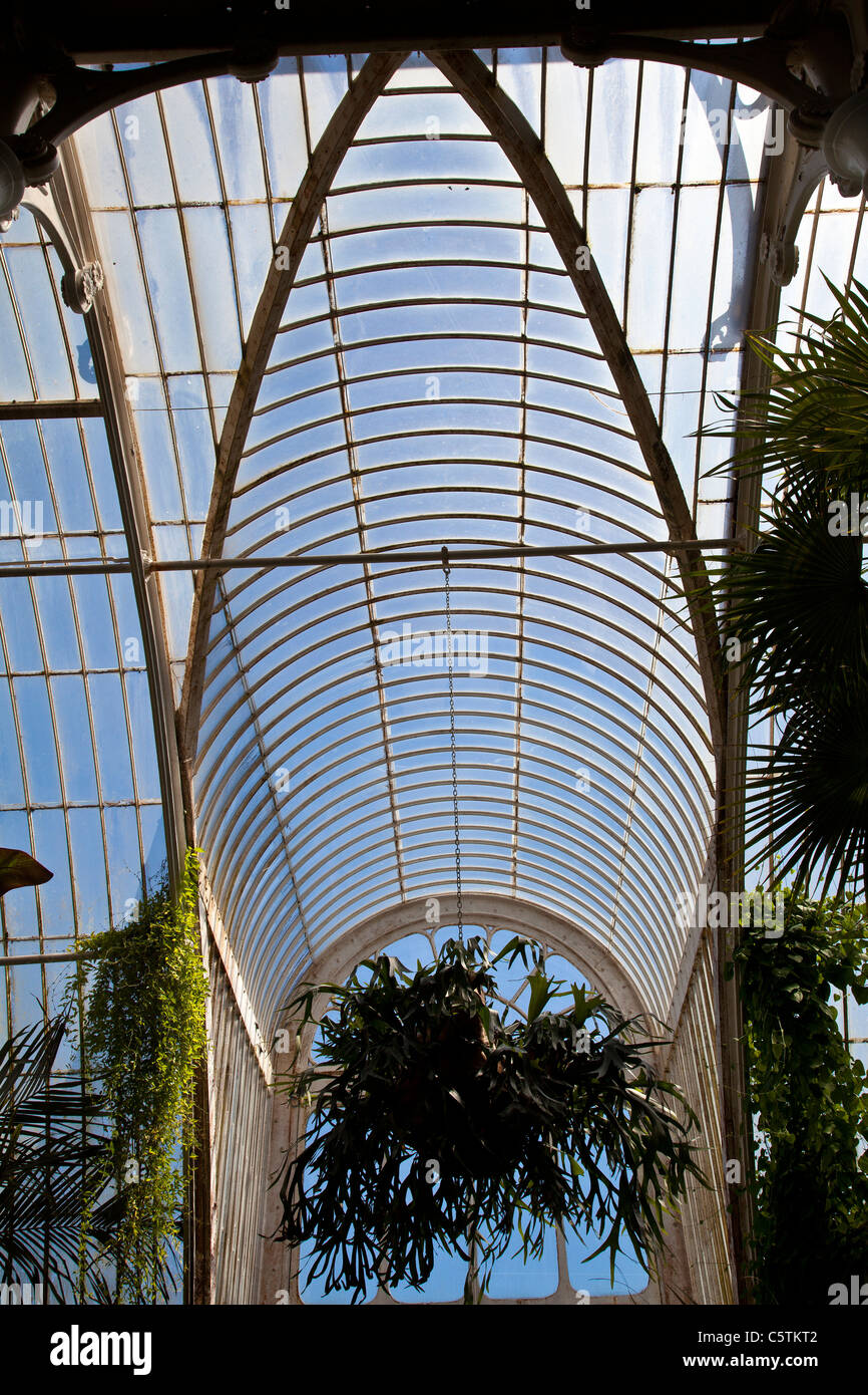 La Palm House, Jardins botaniques royaux de Kew, Richmond, Surrey, Londres Banque D'Images