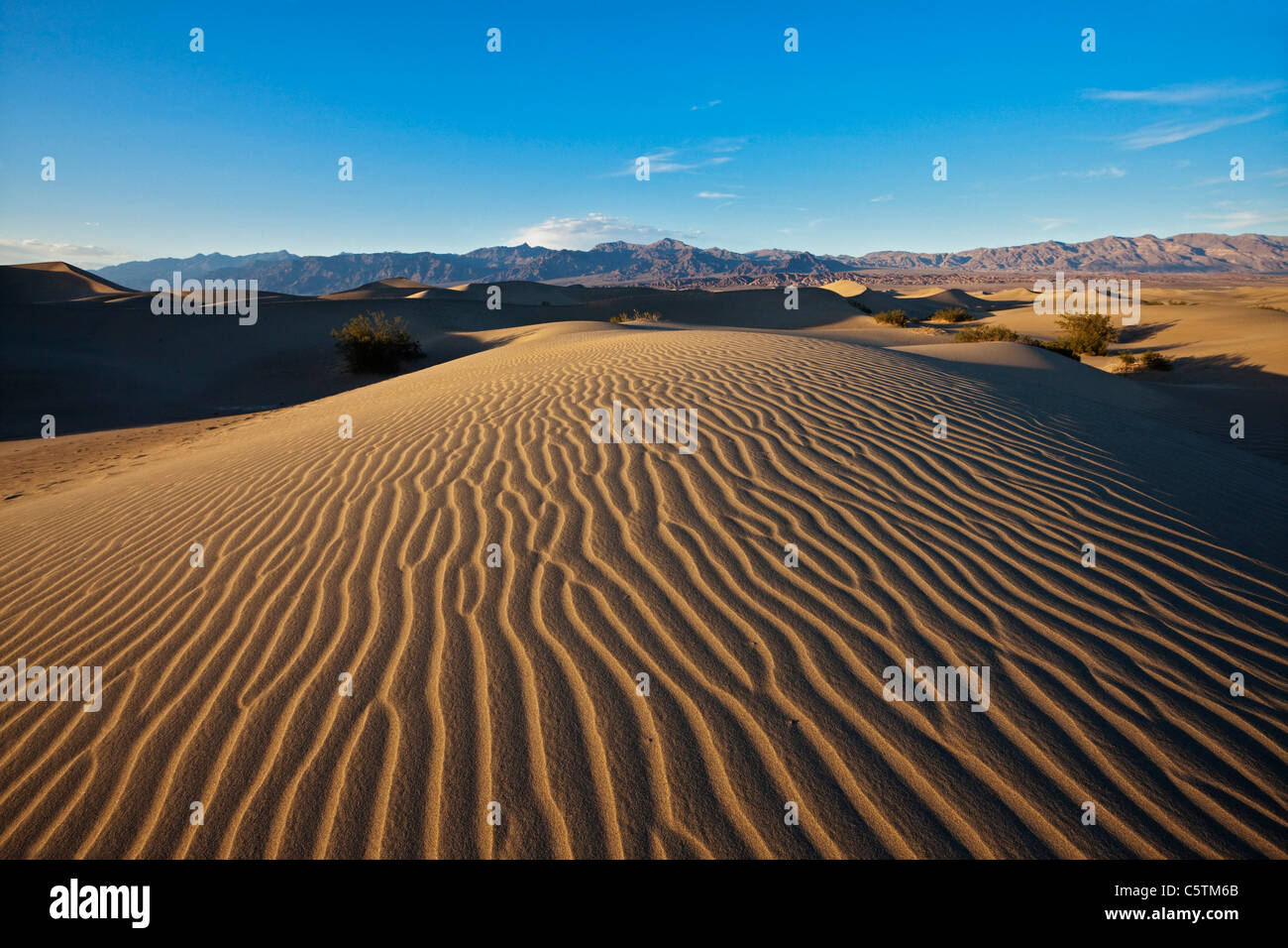 États-unis, Californie, la vallée de la mort, ses dunes de sable Banque D'Images