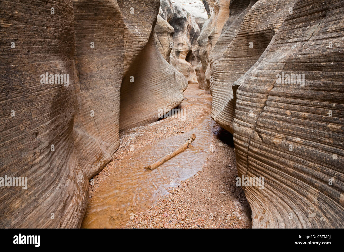 USA, Utah, Willis Creek Canyon fente Banque D'Images