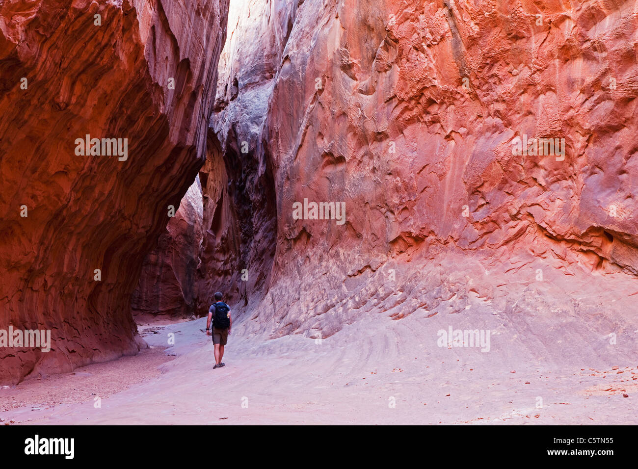 USA, Utah, Canyon de Leprechaun, randonneur dans un Slot Canyon, vue arrière Banque D'Images