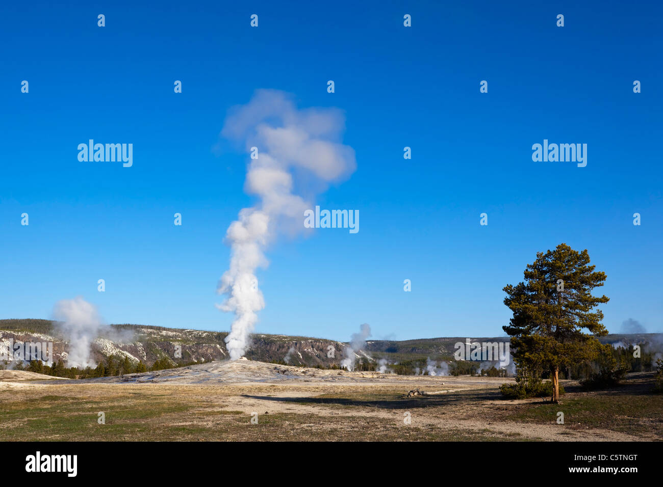 USA, le parc de Yellowstone, Wyoming, Old Faithful Geyser Banque D'Images