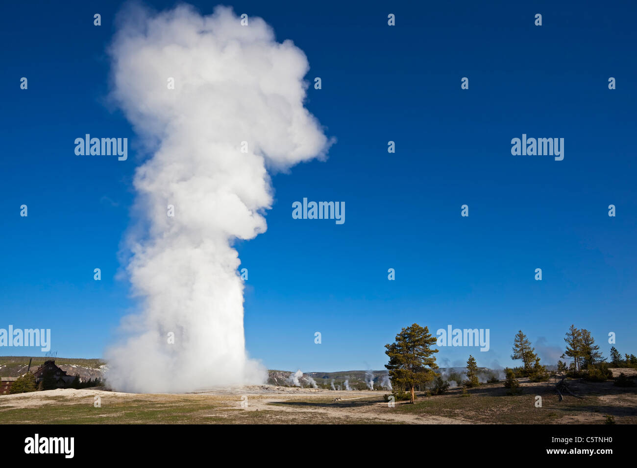 USA, le parc de Yellowstone, Wyoming, Old Faithful Geyser Banque D'Images