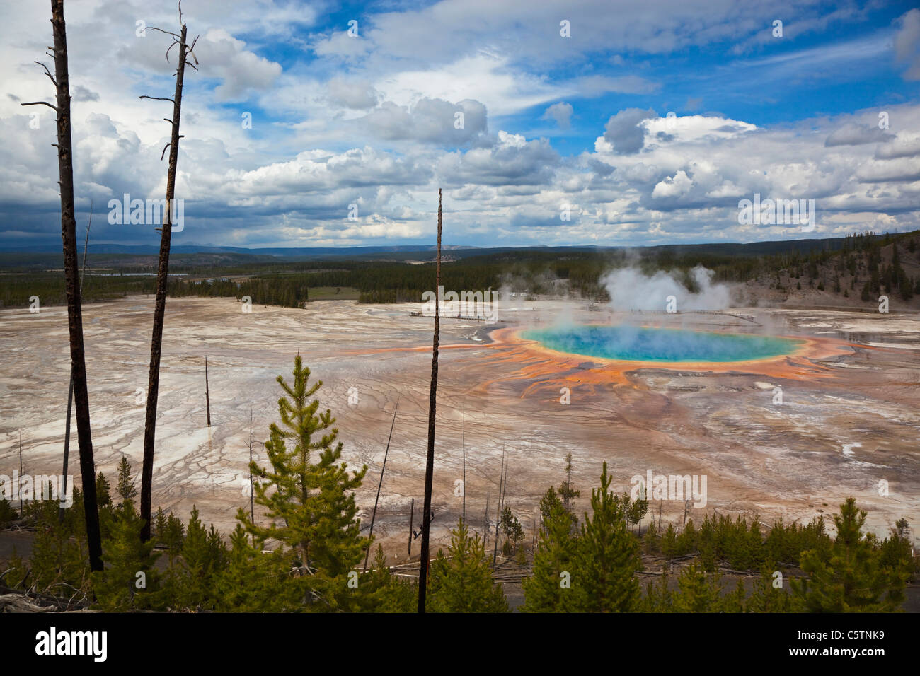 USA, Wyoming, Yellowstone National Park, Grand Prismatic Spring Banque D'Images