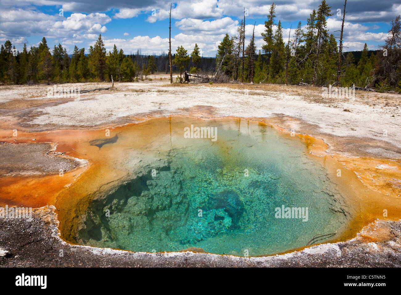 USA, le parc de Yellowstone, printemps Firehole Banque D'Images