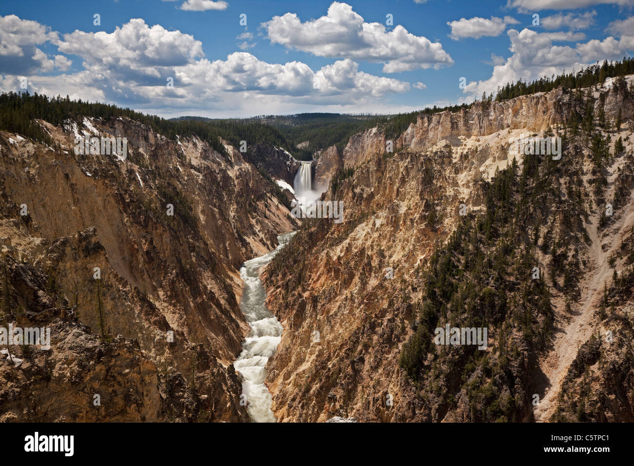 USA, le parc de Yellowstone, Yellowstone Canyon avec river Banque D'Images