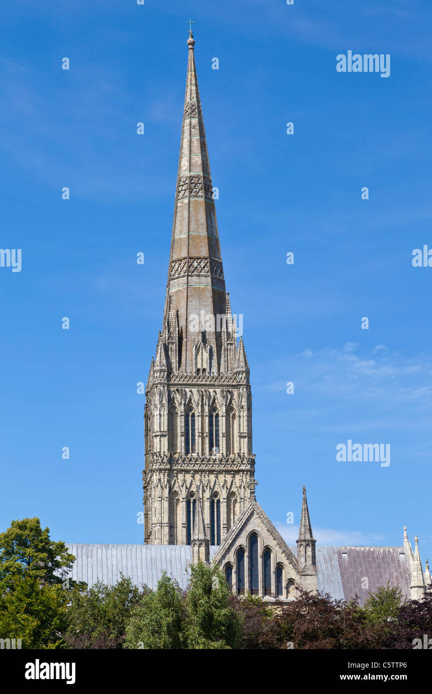 La cathédrale de Salisbury Wiltshire England UK GB EU Europe Banque D'Images