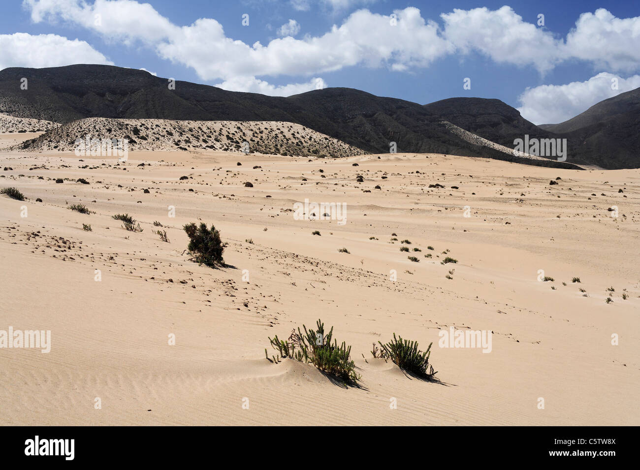 Espagne, Canaries, Fuerteventura , El Jable, Jandia, vue sur dune de sable Banque D'Images