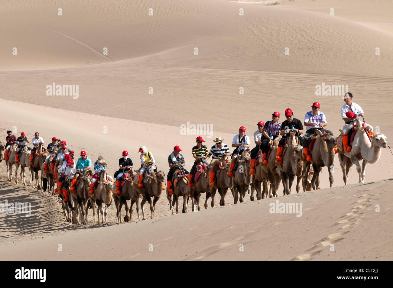 Les touristes chinois monter des chameaux au cours de sa visite à des Dunes de Mingsha, Nanjing, Province de Gansu, Chine Banque D'Images