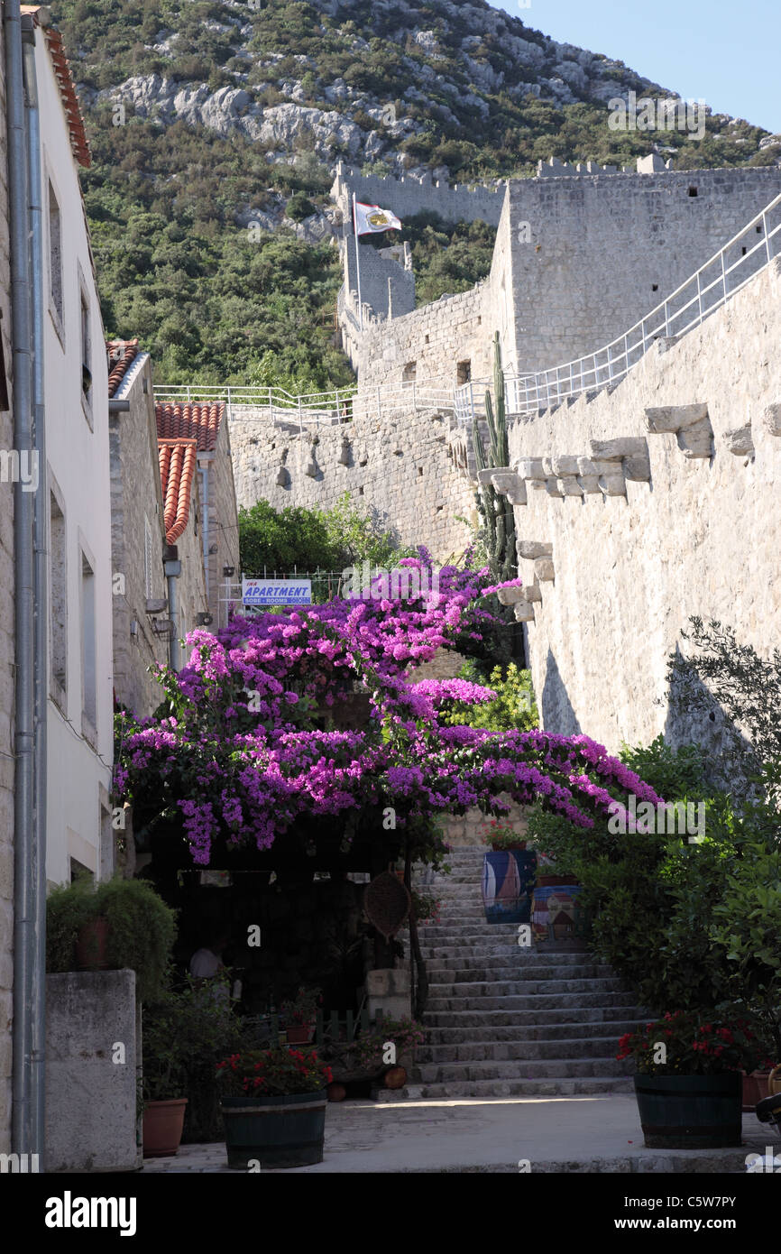 Ston, Croatie Banque D'Images