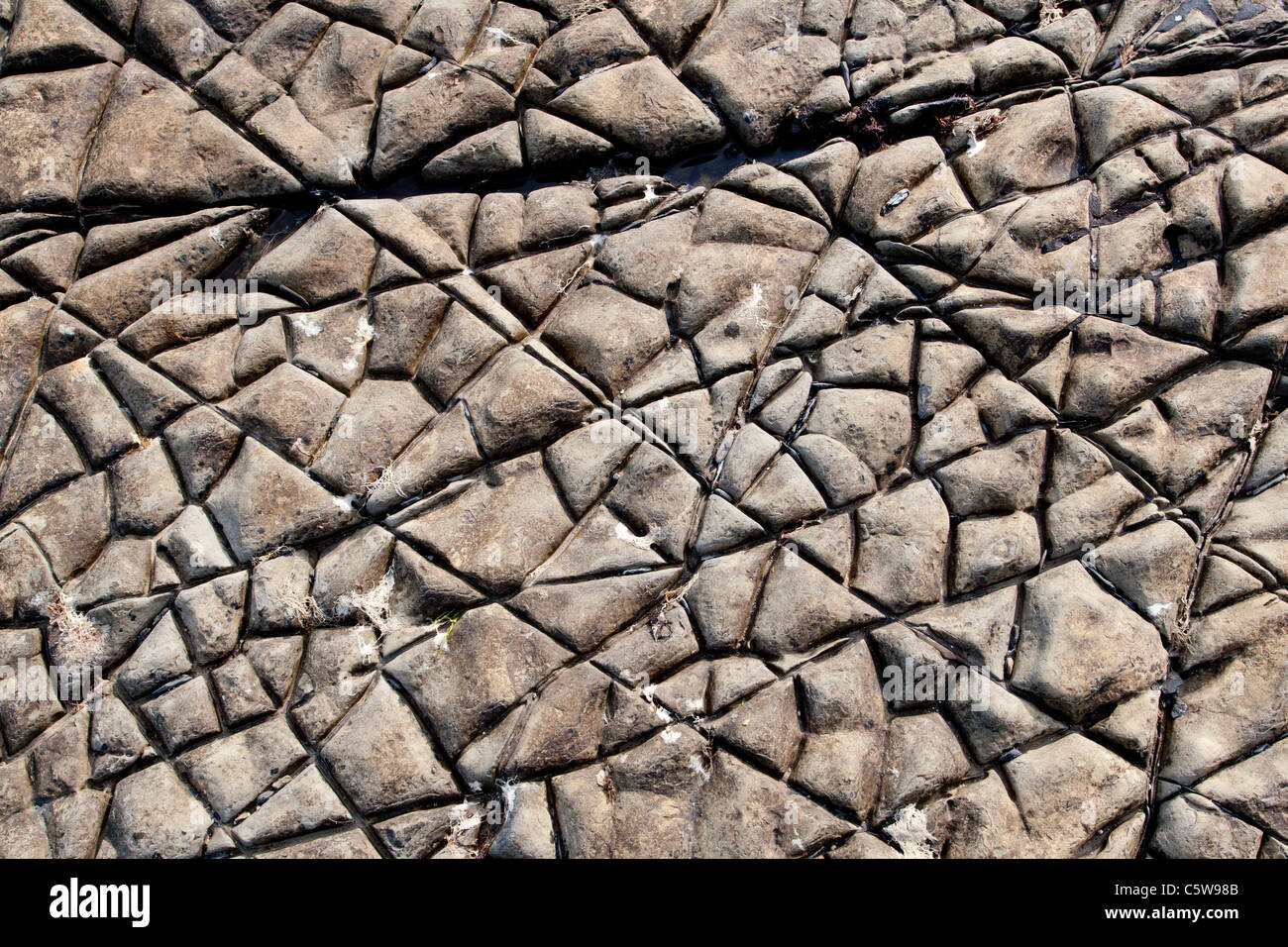 Rock texture à Kimmeridge Bay, Dorset, Angleterre Banque D'Images