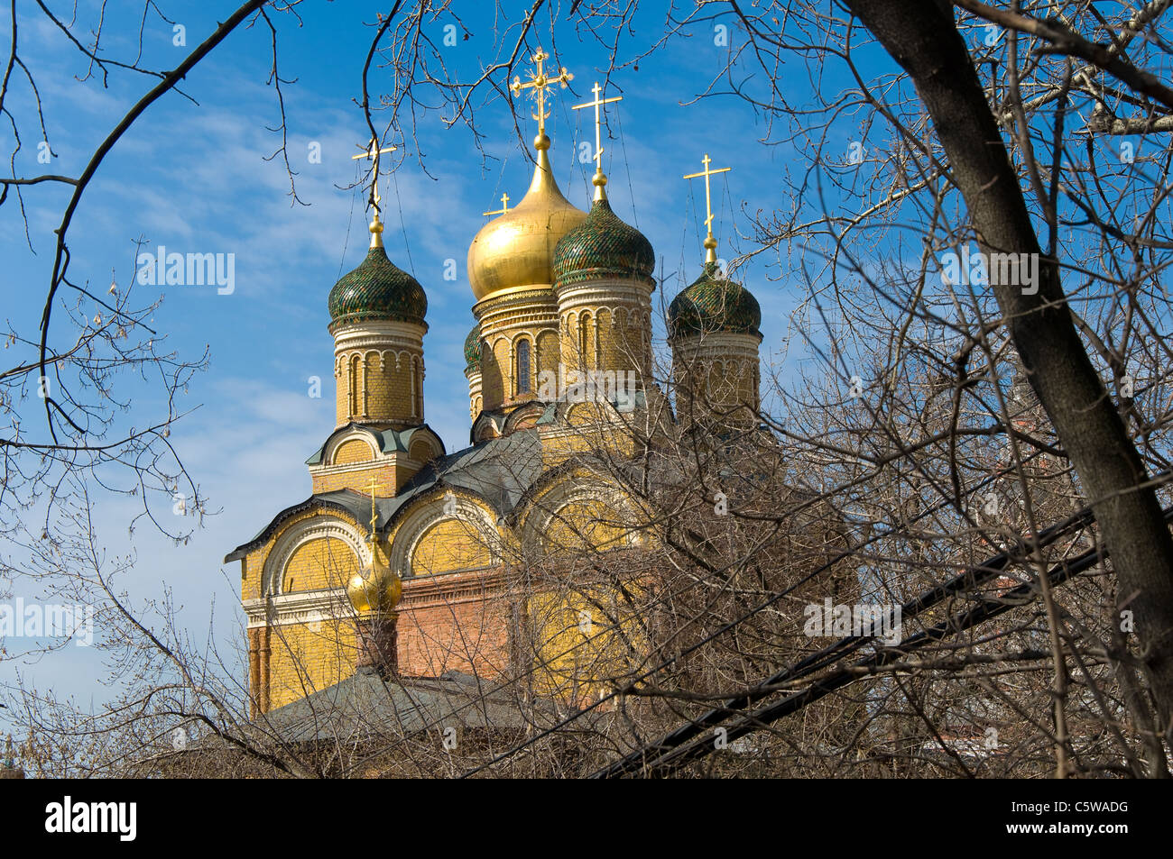 Cathédrale, Moscou, Russie Banque D'Images