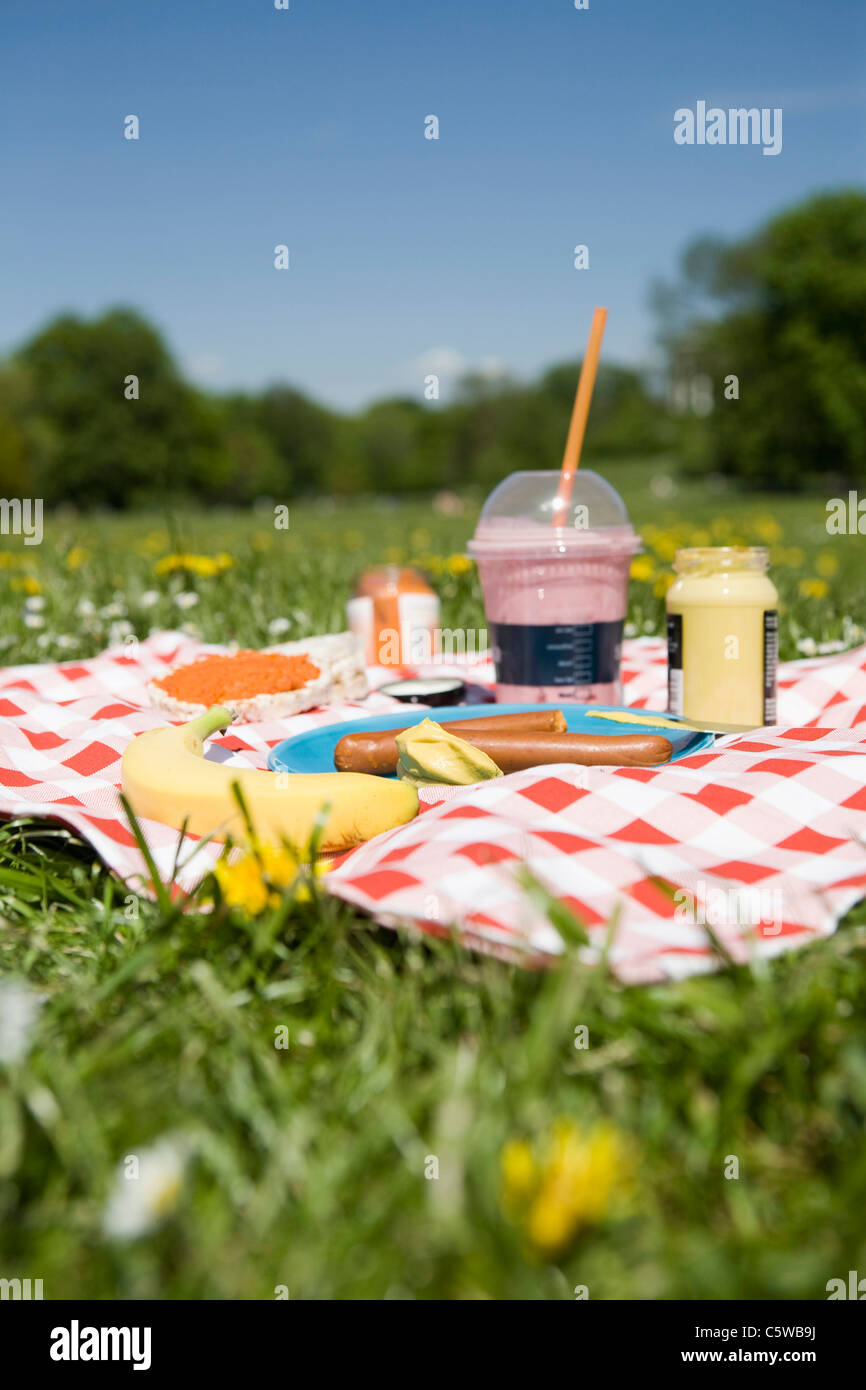 Pique-nique sur meadow Banque D'Images