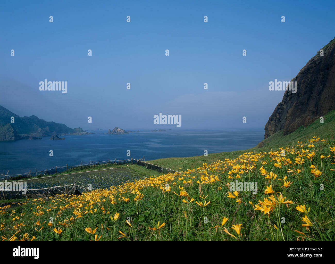 Oonogame Rock et lis du jour, Sado, Niigata, Japon Banque D'Images