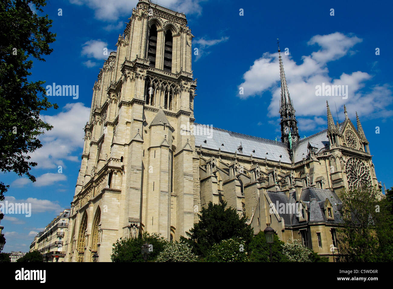 La Cathédrale Notre Dame Paris Banque D'Images