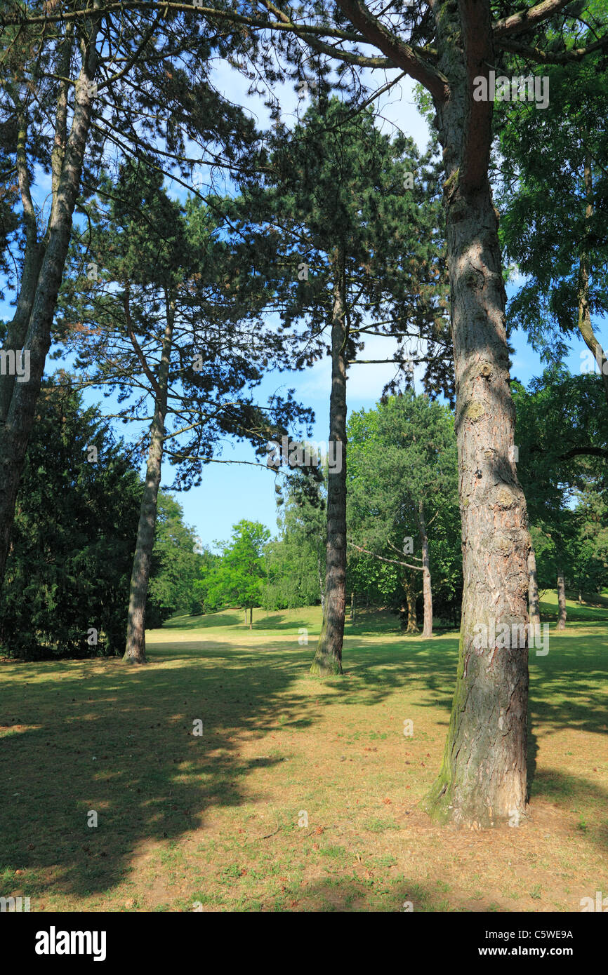 Parklandschaft, Luetzeler Volkspark dans Koblenz-Luetzel, Rheinland-Pfalz Banque D'Images