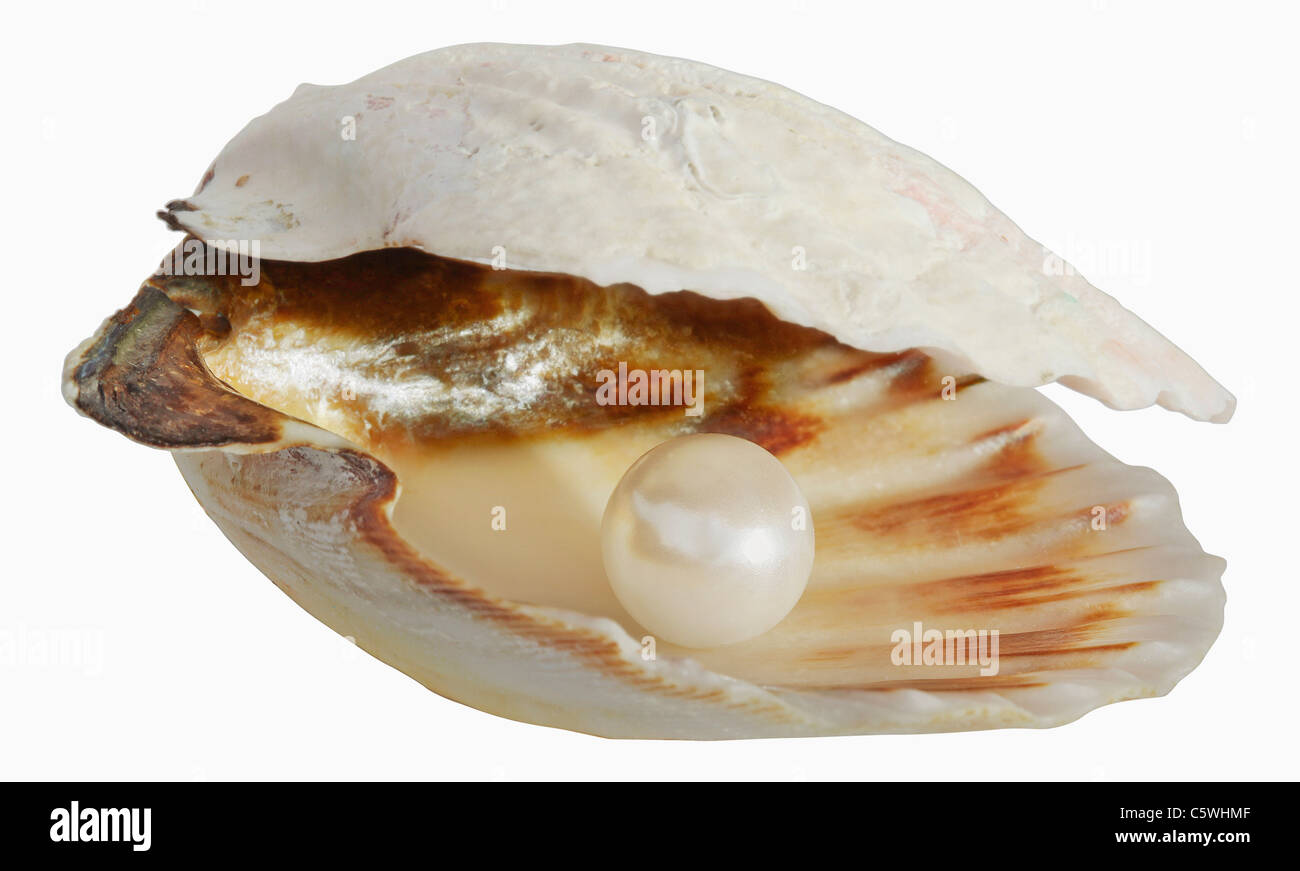 Pearl en coquille vide against white background, Close up Banque D'Images
