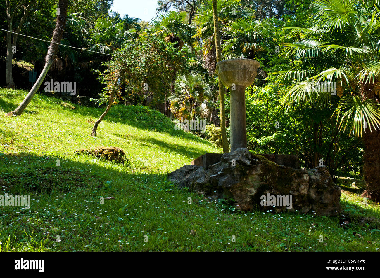 Végétation luxuriante du dix-septième siècle jardin de Villa Durazzo-Centurione, maintenant propriété de la ville de Santa Margherita Banque D'Images