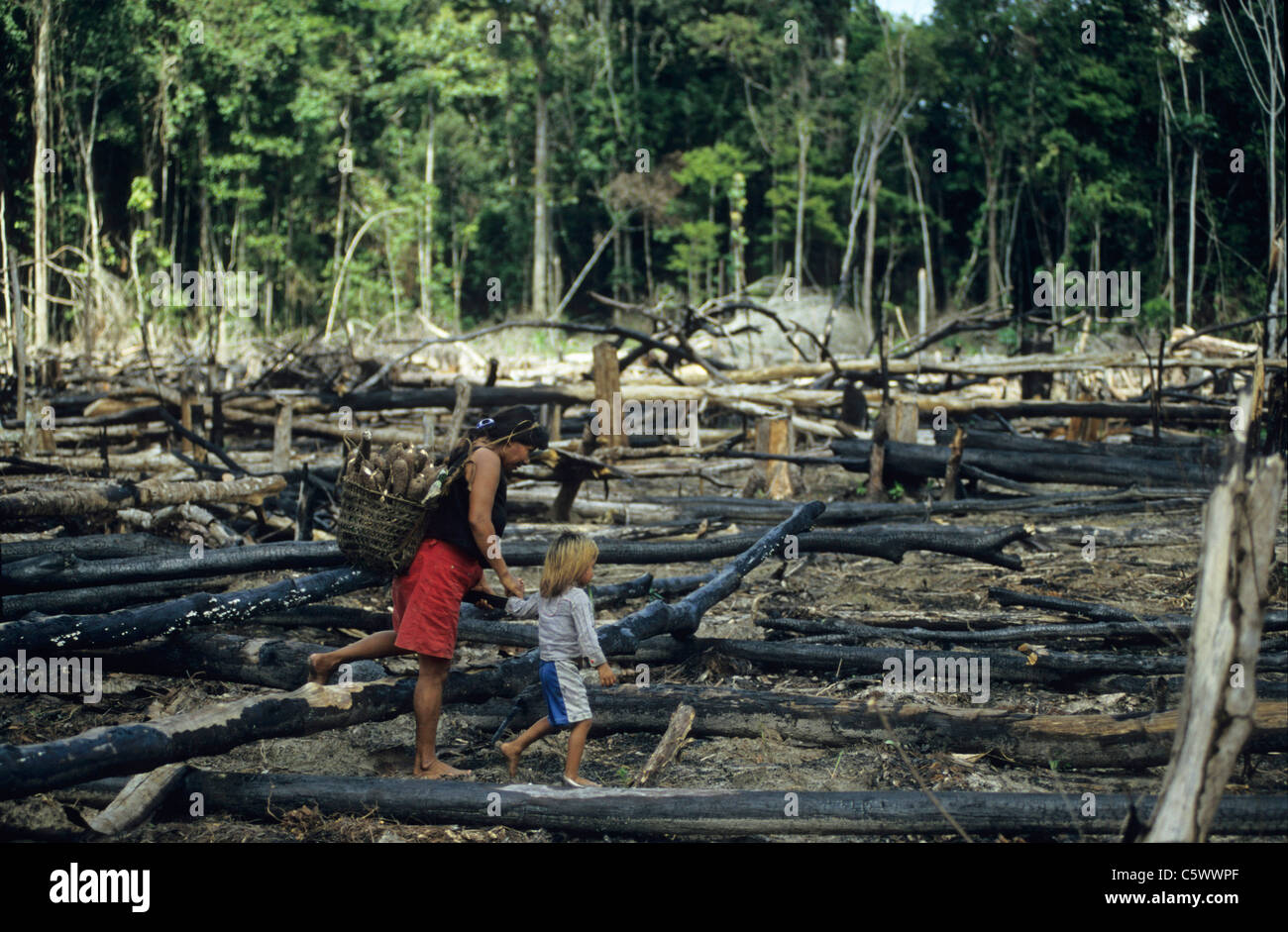 Brésil Amazon, Amazonas, brûlé et déboisées près de rainforest Jurua river, Indio Kulina femme avec enfant le manioc dans leur village Banque D'Images