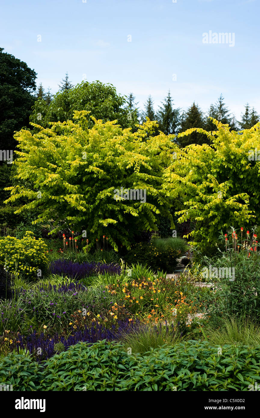 Le jardin au début de l'été chaud, RHS Rosemoor, Devon, Angleterre, Royaume-Uni Banque D'Images