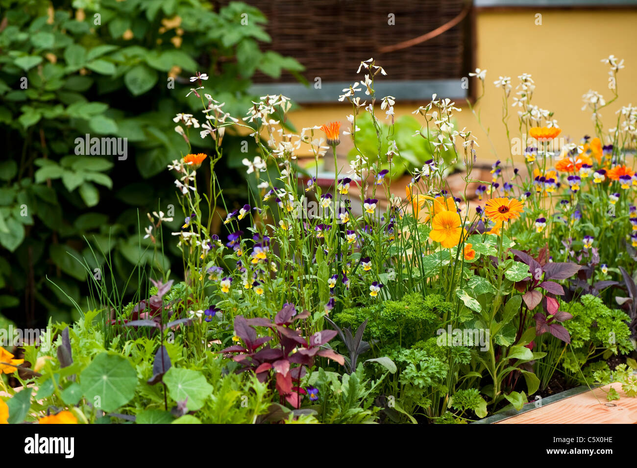 La Burgon & Ball 5 par jour au Jardin 2011 Hampton Court Palace Flower Show, UK Banque D'Images