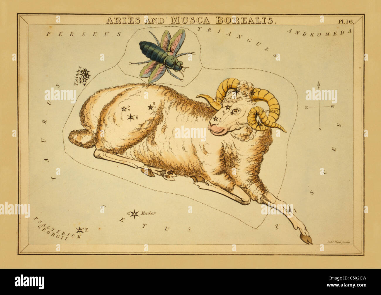 Le bélier et Musca Borealis - 1825 Tableau astronomique Banque D'Images