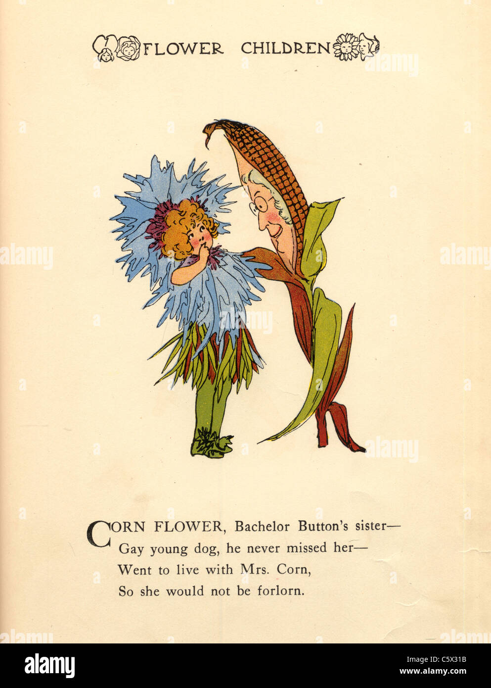 Fleur de maïs - Flower Child Illustration d'un livre ancien Banque D'Images